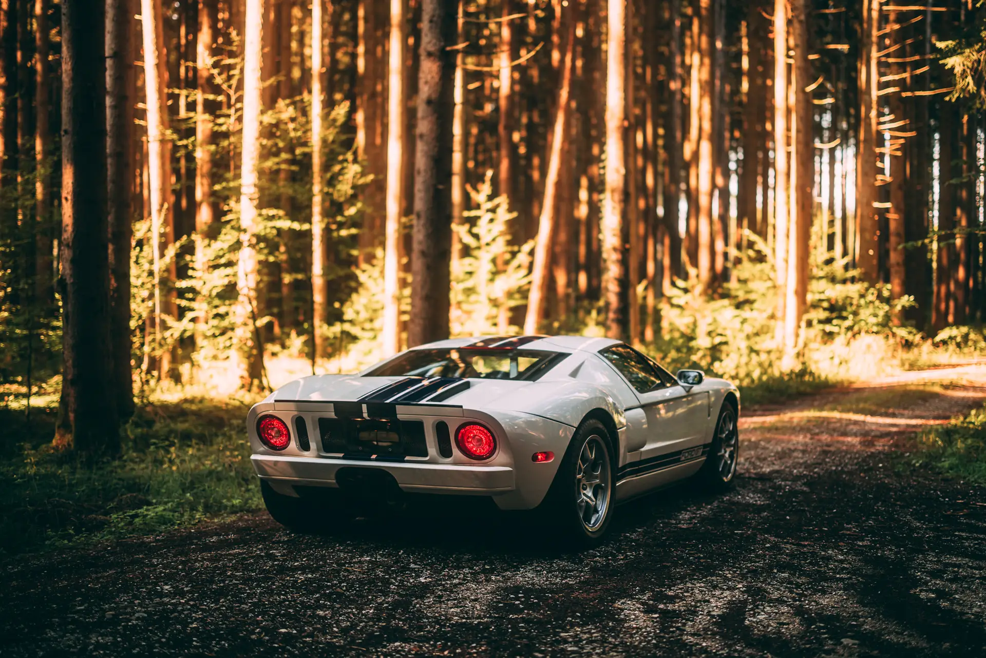 Ford-GT-2018-lightningbluesilverstripes-rearangle