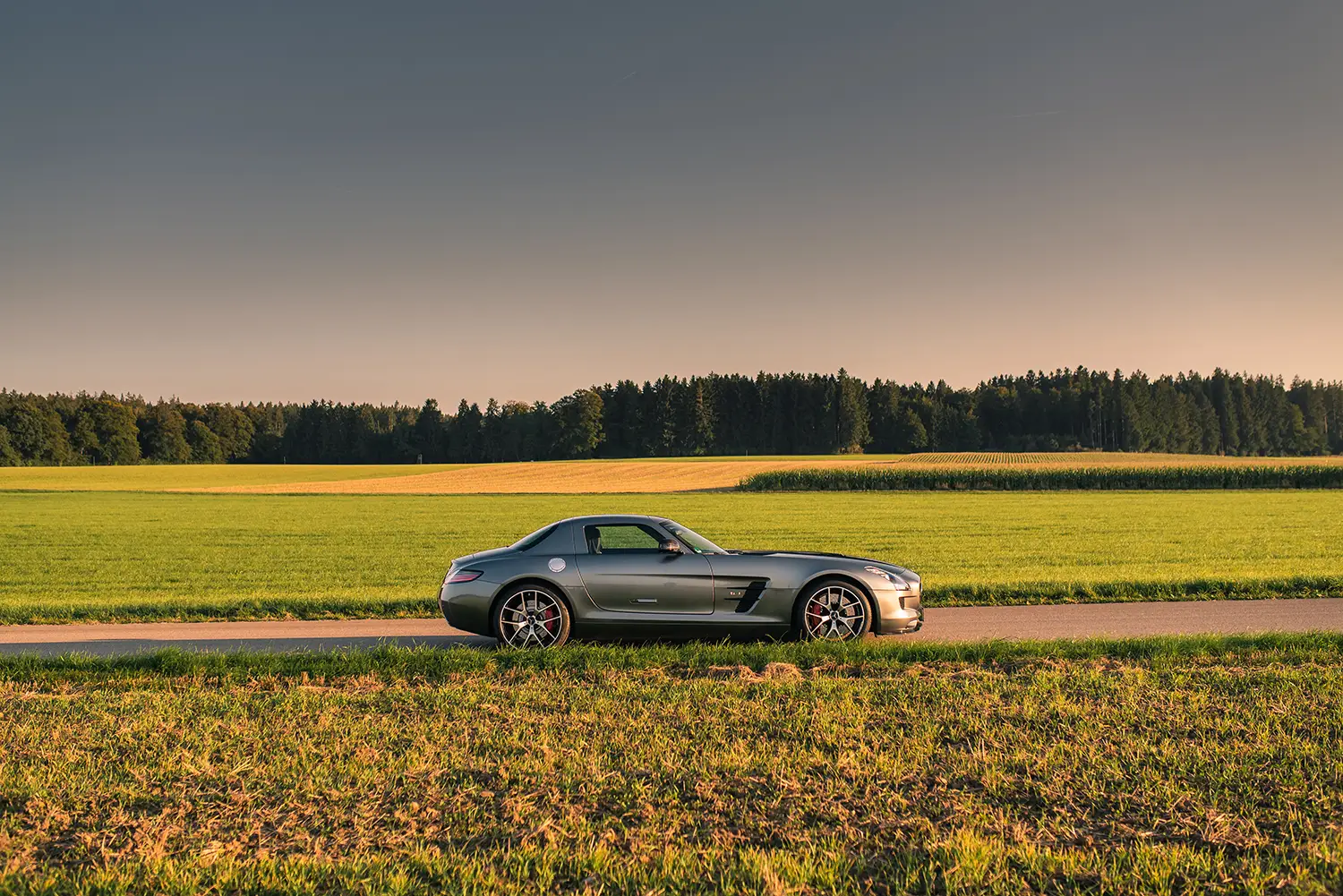 MercedesBenz-SLSAMGGTFinalEdition-2014-side