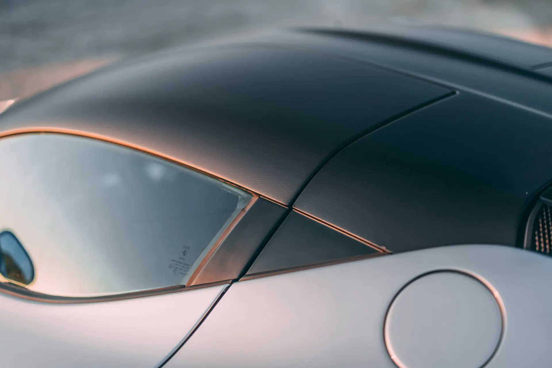 Ferrari-LaFerrari-2015-argento-roofdetail